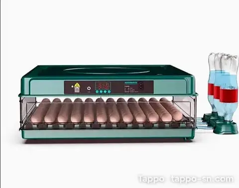 Couveuse automatique 48 œufs avec système d'humidification