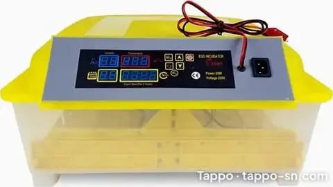 couveuse automatique 48 œufs double alimentation