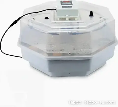 Couveuse automatique transparente 42 Oeufs