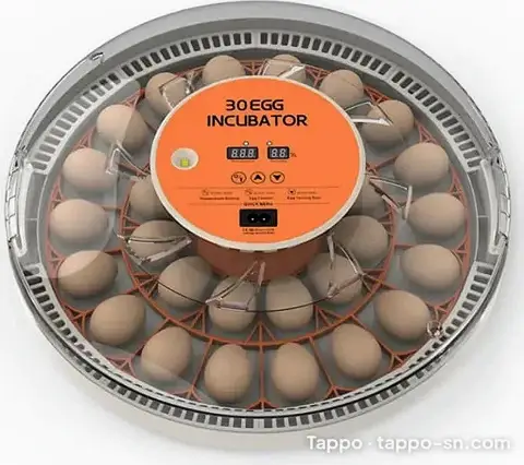Incubateur automatique 30 oeufs