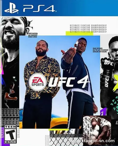 Jeu PS4 EA Sports UFC 4