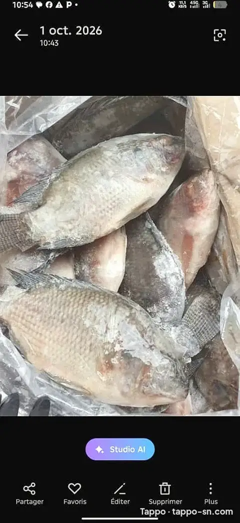 Poissons frais Wass