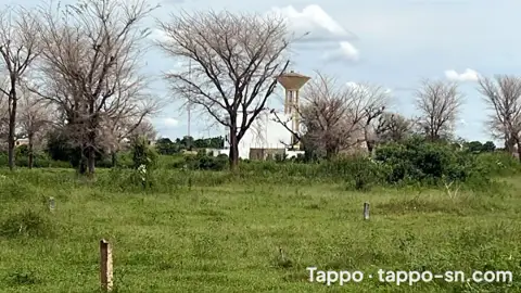 Terrains de 225m2 à vendre à Tène Toubab Sn