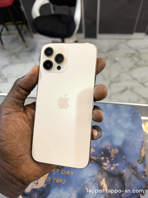 IPhone 12 Pro Max 256Go