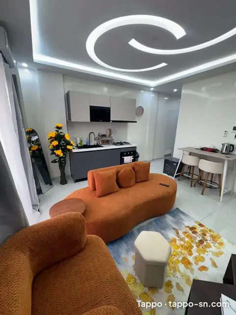 Appartement meublé moderne