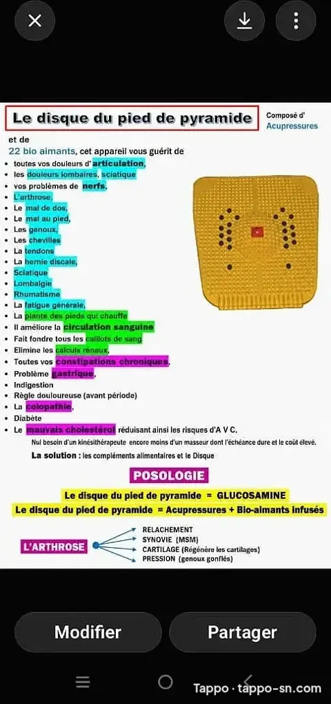 Disque de Pied de Pyramide – 22 bio-aimants & acupresseurs – Soulage l