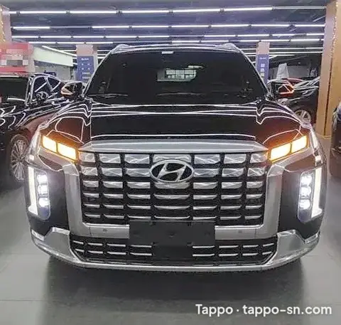Hyundai Palisade 2023 Noir