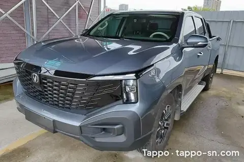 Pick-up gris Changan 2024