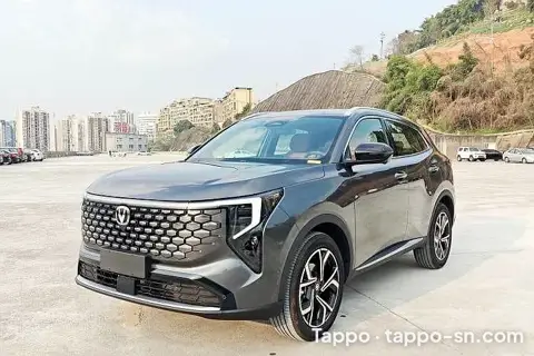 Voiture SUV grise 2026